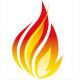 Tekst in FHIR Resources