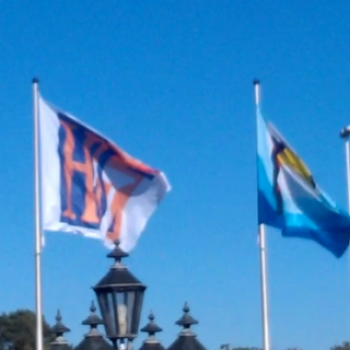 Uw project op de 9e HL7 Nederland Working Group Meeting