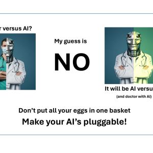 HL7 voor pluggable AI toepassingen